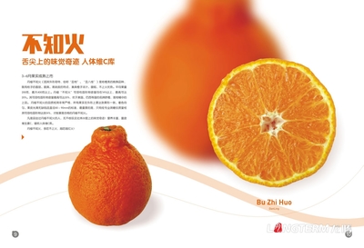 興國興谷 從果園到舌尖的自然饋贈